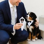 Personalized Embroidery Pet Face Photo 100% Cotton Handkerchief Pocket Square with Name Wedding Birthday Gift for Groom Best Man Dog Cat Lover