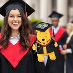 Personalized Classic Winnie the Pooh Graduation Bear Plush Toy with Name or School Badge Gifts for Grads