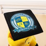 Personalized Classic Winnie the Pooh Graduation Bear Plush Toy with Name or School Badge Gifts for Grads