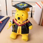 Personalized Classic Winnie the Pooh Graduation Bear Plush Toy with Name or School Badge Gifts for Grads