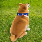 Personalised Flag Design Soft Dog Pet Bandana with Name and Text 4th of July Independence Day Gift for Pet Owners Lovers