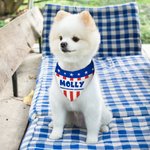 Personalised Flag Design Soft Dog Pet Bandana with Name and Text 4th of July Independence Day Gift for Pet Owners Lovers