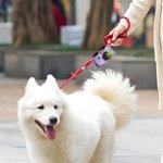 Porte-sac à crottes pour chien multicolore personnalisé avec 1-3 Portrait d'animal Activités de plein air Cadeau d'anniversaire pour le propriétaire d'un animal de compagnie