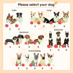 Personalized Cartoon Dog My Dog Ate My Lesson Plan Soft T-shirt with 1-3 Names Teacher's Day Birthday Gift for Teachers Dog Lovers