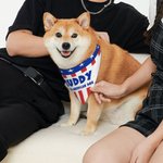 Personalised Flag Design Soft Dog Pet Bandana with Name and Text 4th of July Independence Day Gift for Pet Owners Lovers