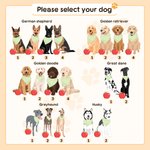 Personalized Cartoon Dog My Dog Ate My Lesson Plan Soft T-shirt with 1-3 Names Teacher's Day Birthday Gift for Teachers Dog Lovers