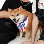 Personalised Flag Design Soft Dog Pet Bandana with Name and Text 4th of July Independence Day Gift for Pet Owners Lovers