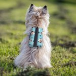 Porte-sac à crottes pour chien multicolore personnalisé avec 1-3 Portrait d'animal Activités de plein air Cadeau d'anniversaire pour le propriétaire d'un animal de compagnie