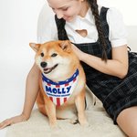 Personalised Flag Design Soft Dog Pet Bandana with Name and Text 4th of July Independence Day Gift for Pet Owners Lovers