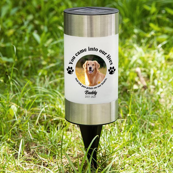 Personalised You Came into Our Lives Dog Cat Photo Paw Print Solar Garden Light with Name and Year Garden Decor Memorial Sympathy Gift for Loss of Pet
