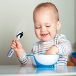 Personalized Cute Animal Food-Grade Stainless Steel Name Spoon Fork 2 Pcs Cutlery Set with Case Birthday Back to School Gift for Toddler Kid