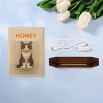 Personlig Rolig 3D tecknad karaktär Foto Akryl LED nattlampa med träbas och titel Heminredning Födelsedagspresent för husdjursälskare Familj