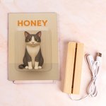 Personalized Funny 3D Character Photo Acrylic Frame LED Night Light with Wooden Base and Title Home Decor Birthday Gift for Pet Lover Family