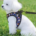 Laisse personnalisée Flamingo Dolphin Palm Tree Multicolore Harnais pour animaux avec 1-3 Photos Cadeau d'Anniversaire pour Propriétaire Amoureux des Animaux