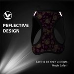 Laisse personnalisée Flamingo Dolphin Palm Tree Multicolore Harnais pour animaux avec 1-3 Photos Cadeau d'Anniversaire pour Propriétaire Amoureux des Animaux