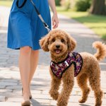 Laisse personnalisée Flamingo Dolphin Palm Tree Multicolore Harnais pour animaux avec 1-3 Photos Cadeau d'Anniversaire pour Propriétaire Amoureux des Animaux