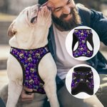 Laisse personnalisée Flamingo Dolphin Palm Tree Multicolore Harnais pour animaux avec 1-3 Photos Cadeau d'Anniversaire pour Propriétaire Amoureux des Animaux