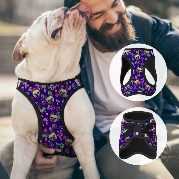 Personalisierte Flamingo Delphin Palme Multicolor Haustier Leine Geschirr Weste mit 1-3 Fotos Geburtstag Geschenk für Tierliebhaber Besitzer