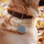 Henkilökohtainen Bone Sydän Flower Shape Monivärinen PU Nahka Pet ID-kortti nimilappu Syntymäpäivä Tervetuloa lahja koira kissan omistajille