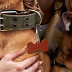 Henkilökohtainen Bone Sydän Flower Shape Monivärinen PU Nahka Pet ID-kortti nimilappu Syntymäpäivä Tervetuloa lahja koira kissan omistajille