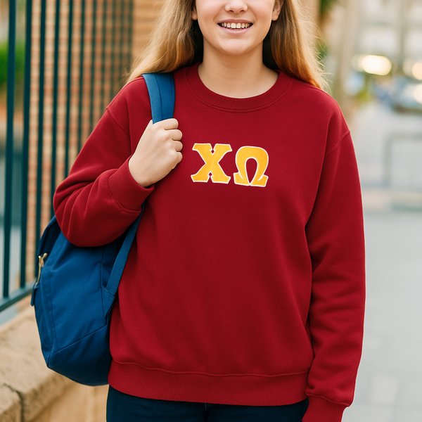 Personalised Embroidery Greek Letters T-shirt Sweatshirt Hoodie Sorority Bid Day Gift for New Sorority Members丨Callie × Affinity Licensing