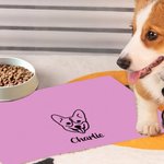 Gepersonaliseerde Mulitcolor Kat Hond Avatar PU lederen Pet Place Mat met naam Verjaardag Verjaardag Herinnering Gift voor huisdiereigenaren Friend Famlily