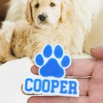 Personalized Cute Dog Paw Bag Charm with Name Accessory for Bogg Birthday Gift for Dog Pet Lovers