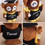 Personalisiertes Abschlusskappe Bachelor-Kleid Eule Plüschtier mit Text Jahr Souvenir Graduierungszeremonie Geschenk für Absolventen Klassenkameraden