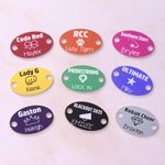 Personalised Multicolour Cheer Bow Paw Print Shoelace Charm with Name Team Appreciation Competition Gift for Cheerleaders Team