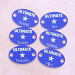 Personalised Multicolour Cheer Bow Paw Print Shoelace Charm with Name Team Appreciation Competition Gift for Cheerleaders Team