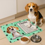 Personalized 3D Cartoon Cat Dog Paw Print Absorbent Pet Feeding Mat with Name Message and Waterproof Rubber Backing Birthday Gift for Pet Lovers