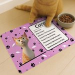 Personalized 3D Cartoon Cat Dog Paw Print Absorbent Pet Feeding Mat with Name Message and Waterproof Rubber Backing Birthday Gift for Pet Lovers