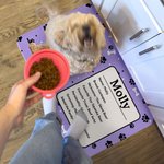Personalized 3D Cartoon Cat Dog Paw Print Absorbent Pet Feeding Mat with Name Message and Waterproof Rubber Backing Birthday Gift for Pet Lovers
