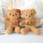 Personalized Basketball Baseball Softball Number Plush Teddy Bear Stuffed Toy Game Day Birthday Gift for Boys Girls Sports Enthusiasts