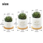 Personalised Love Grows Name Ceramic Succulent Planter Pot with Drainage Hole and Bamboo Base Home Decor Wedding Gift for Lover