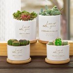 Personalised Love Grows Name Ceramic Succulent Planter Pot with Drainage Hole and Bamboo Base Home Decor Wedding Gift for Lover