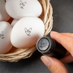 Timbro per uova personalizzato con nome testo e diversi modelli standard FDA inchiostro alimentare fattorie regalo per famiglia e agricoltori