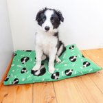 Personalised Fish Bone Paw Print Face Photo Pet Cooling Mats Cover with Name Pet Supplies Summer New Pet Gift for Pet Owners