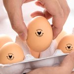 Timbro per uova personalizzato con nome testo e diversi modelli standard FDA inchiostro alimentare fattorie regalo per famiglia e agricoltori