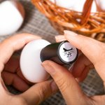Timbro per uova personalizzato con nome testo e diversi modelli standard FDA inchiostro alimentare fattorie regalo per famiglia e agricoltori