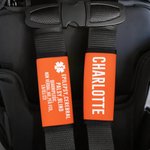 Personalized Multicolour Emergency Alert Carseat Straps with Name and Text Set of 2 Birthday Caring Gift for Allergy Autism Kids Family