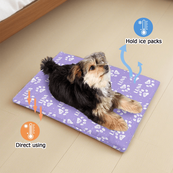 Personalised Paw Print Multicolor Pet Cooling Mats Cover with Name Pet Supplies Summer Essential New Pet Birthday Gift for Pet Owners Lovers