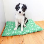 Personalizado Paw Print Multicolor Pet Cooling Mats Cover with Name Pet Supplies Summer Essential New Pet Birthday Gift for Pet Owners Lovers