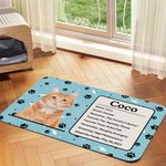 Personalized Pet Photo Self-Introduction Information Absorbent Pet Feeding Mat with Rubber Backing Pet Supplies Birthday Gift for Cat Dog Owners