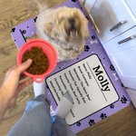 Personalized Pet Photo Self-Introduction Information Absorbent Pet Feeding Mat with Rubber Backing Pet Supplies Birthday Gift for Cat Dog Owners