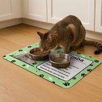 Personalized Pet Photo Self-Introduction Information Absorbent Pet Feeding Mat with Rubber Backing Pet Supplies Birthday Gift for Cat Dog Owners