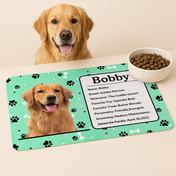 Personalized Pet Photo Self-Introduction Information Absorbent Pet Feeding Mat with Rubber Backing Pet Supplies Birthday Gift for Cat Dog Owners