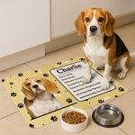 Personalized Pet Photo Self-Introduction Information Absorbent Pet Feeding Mat with Rubber Backing Pet Supplies Birthday Gift for Cat Dog Owners