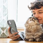 Personalised Watercolour 1-3 Pet Photo TPU Phone Case for iPhone Samsung with Name Multicolour Available Birthday Gift for Dog Cat Lovers