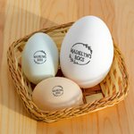 Sello personalizado para huevos con nombre texto y diferentes modelos certificación de la FDA tinta comestible regalo para familias y agricultores
